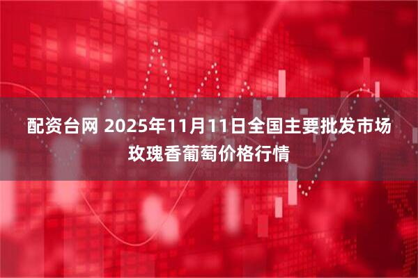 配资台网 2025年11月11日全国主要批发市场玫瑰香葡萄价格行情